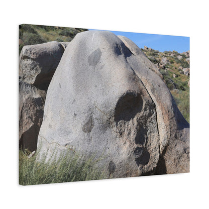 Skull Rock - Unique Frameless Canvas Wall Art - Art By Earth