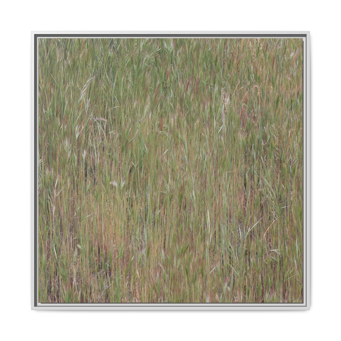 Field of Dreams - Unique Stretched Canvas Wall Art - Art By Earth