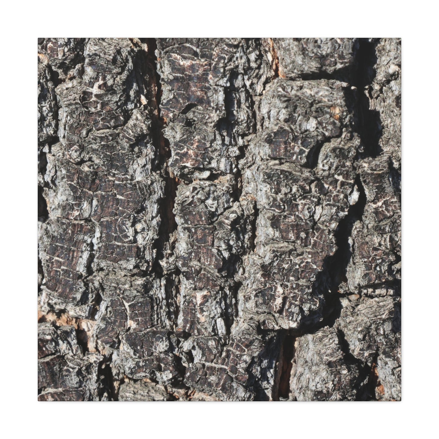 Cracked Skin of Earth - Unique Frameless Canvas Wall Art - Art By Earth