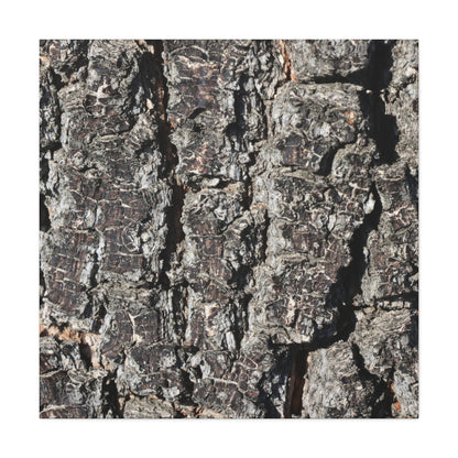 Cracked Skin of Earth - Unique Frameless Canvas Wall Art - Art By Earth