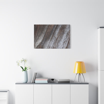Aged Planks - Unique Frameless Canvas Wall Art - Art By Earth