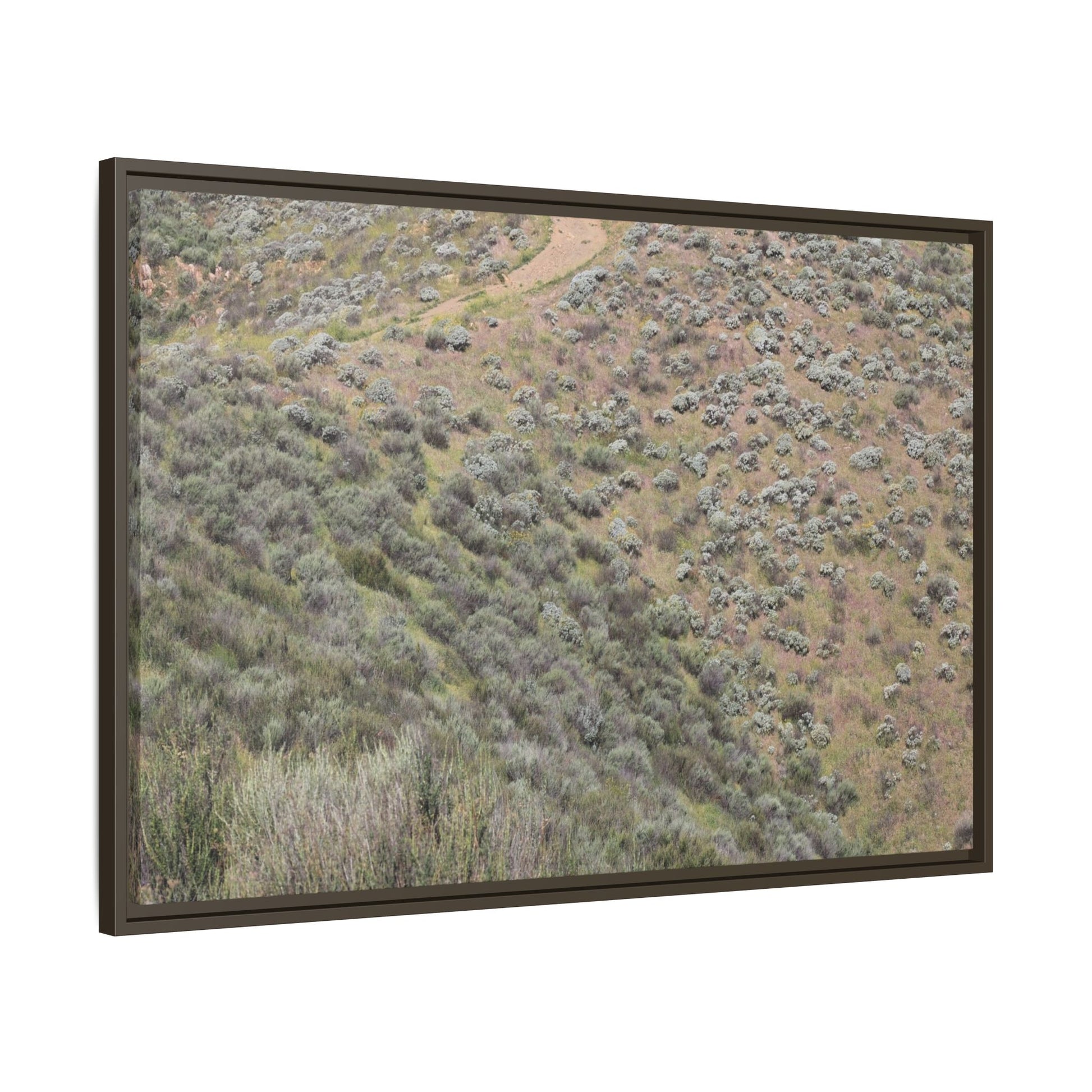 Arid Landscape with Winding Path - Unique Stretched Canvas Wall Art - Art By Earth