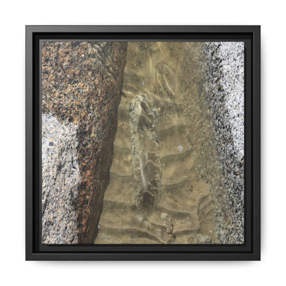 Between Concrete Walls - Unique Stretched Canvas Wall Art - Art By Earth