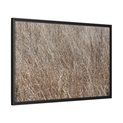 Dry Grass Symphony - Unique Stretched Canvas Wall Art - Art By Earth