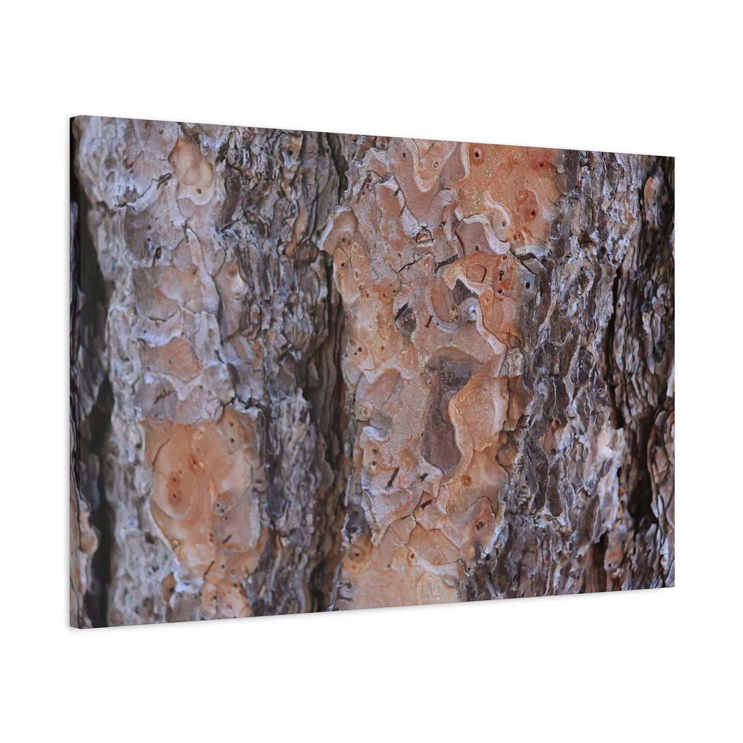 Terracotta Textures - Unique Frameless Canvas Wall Art - Art By Earth