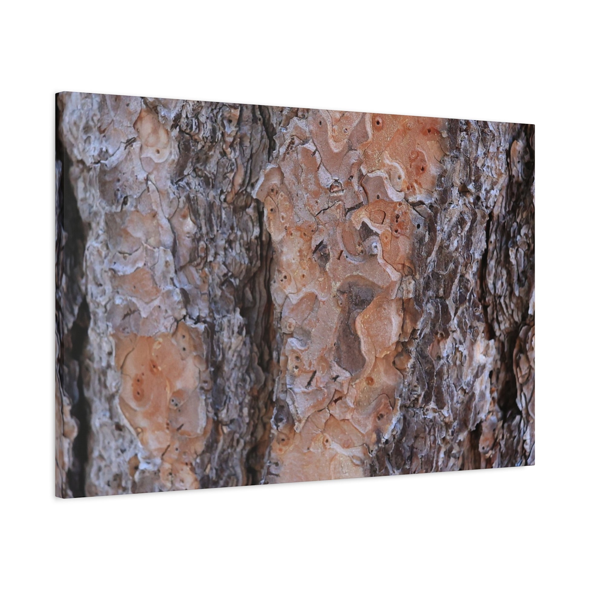 Terracotta Textures - Unique Frameless Canvas Wall Art - Art By Earth