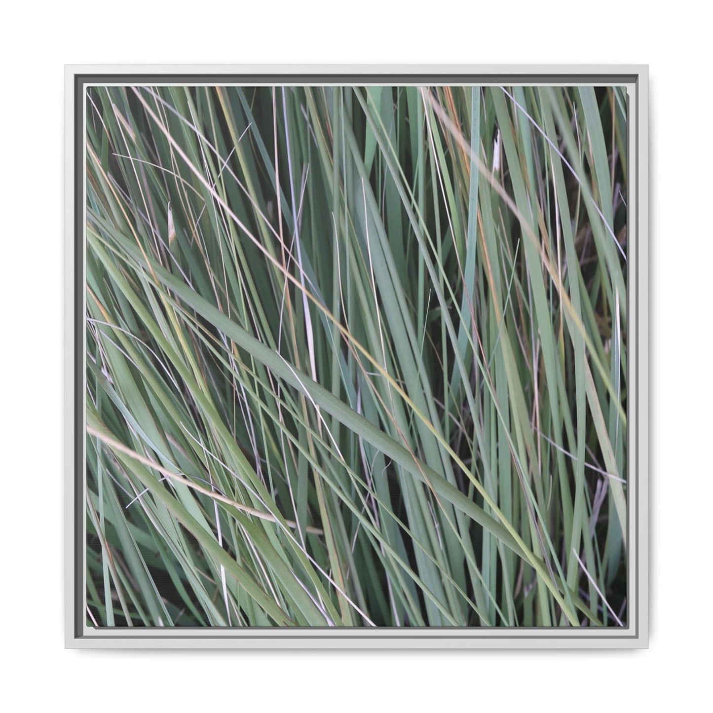 Grassland Symphony - Unique Stretched Canvas Wall Art - Art By Earth