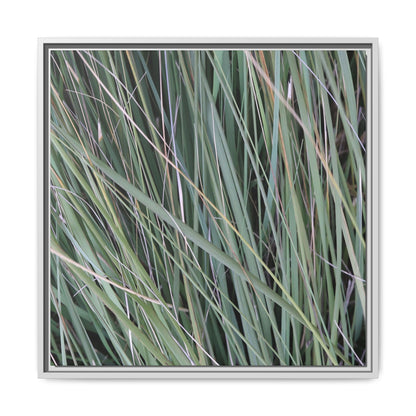 Grassland Symphony - Unique Stretched Canvas Wall Art - Art By Earth
