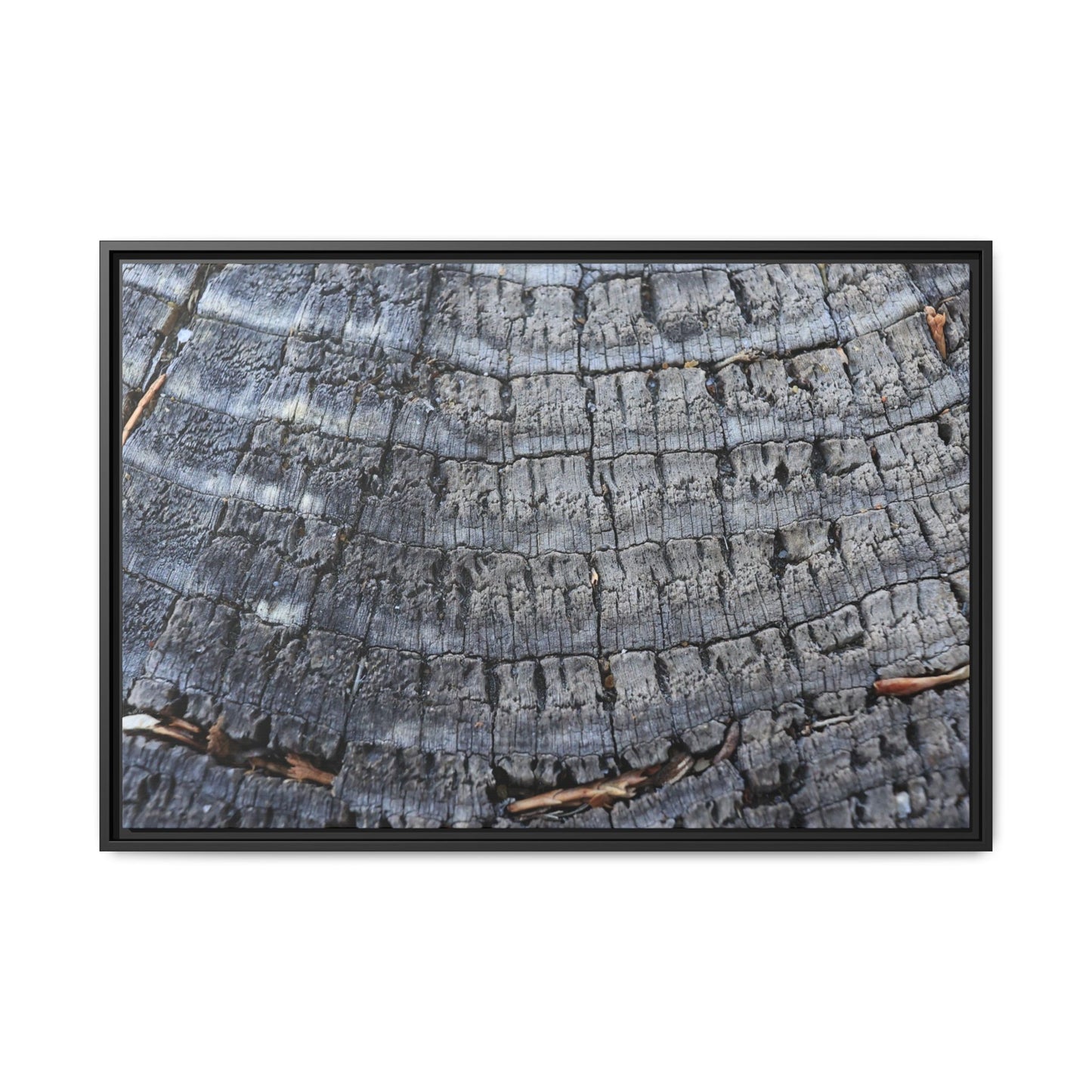 Charred Memories - Unique Stretched Canvas Wall Art - Art By Earth