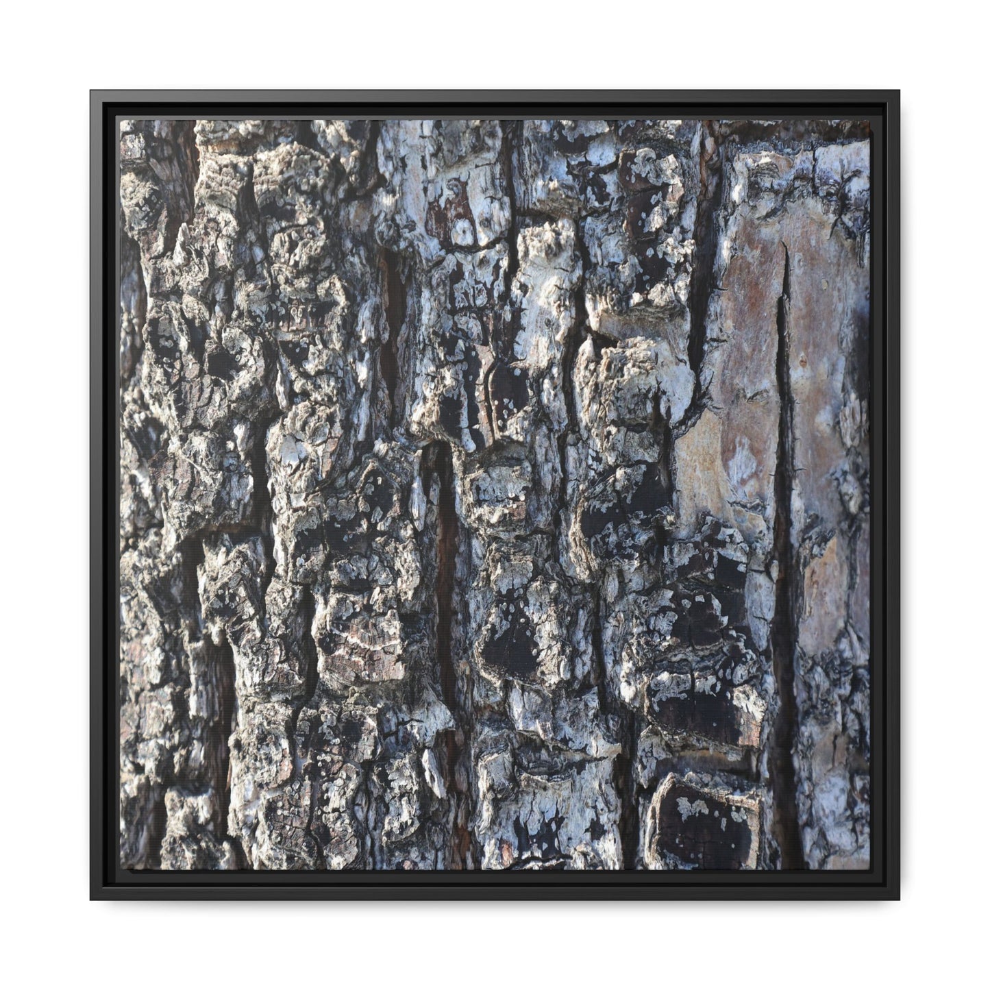 The Bark Chronicles - Unique Stretched Canvas Wall Art - Art By Earth