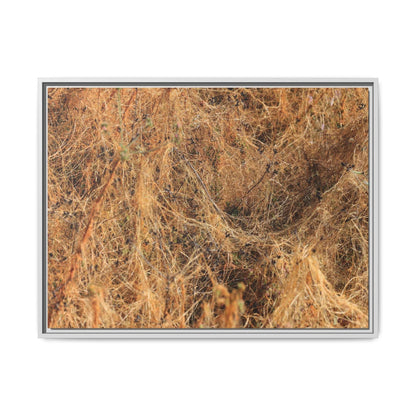 Dried Vegetation Study - Unique Stretched Canvas Wall Art - Art By Earth