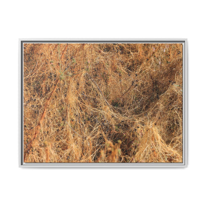 Dried Vegetation Study - Unique Stretched Canvas Wall Art - Art By Earth