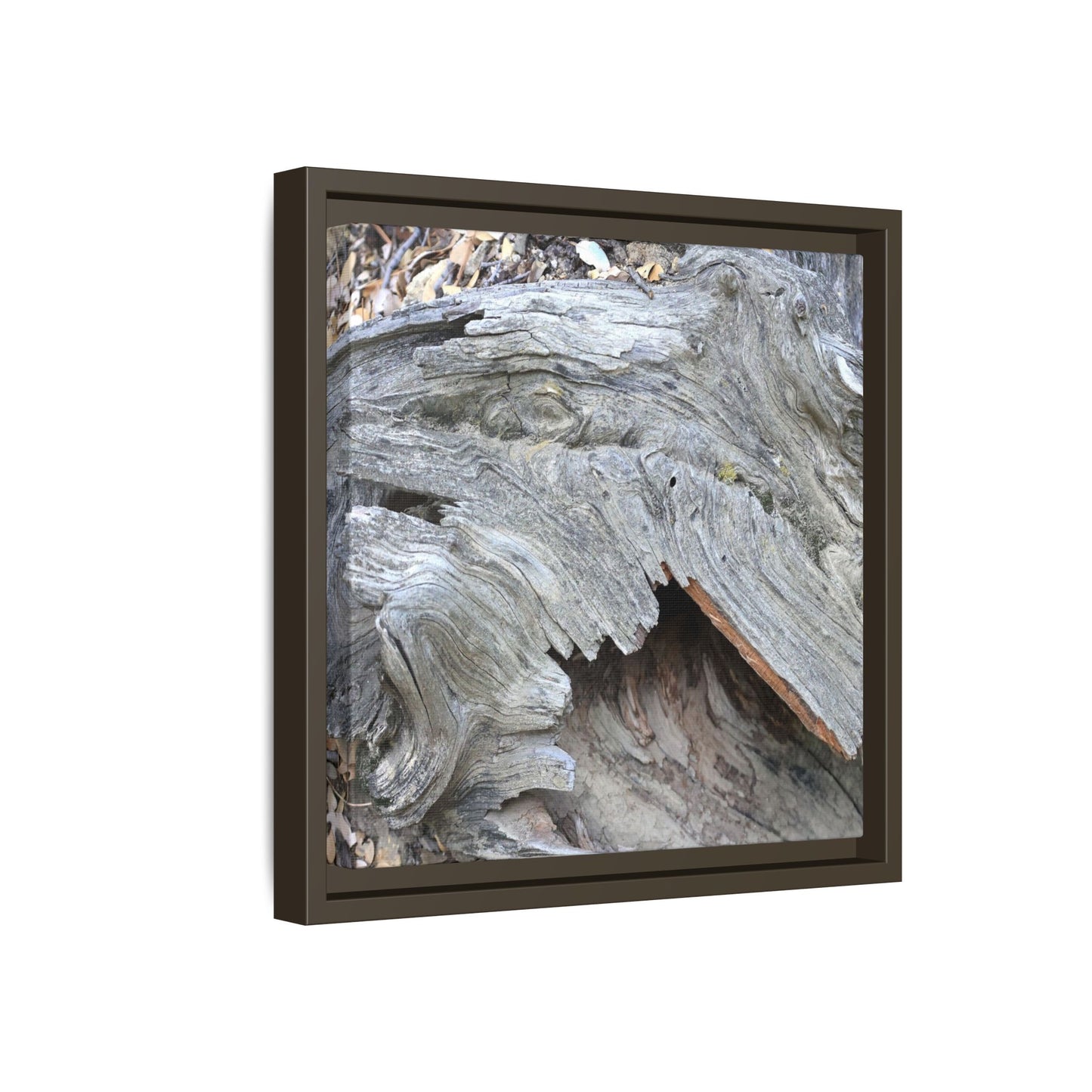 Driftwood Dreams - Unique Stretched Canvas Wall Art - Art By Earth