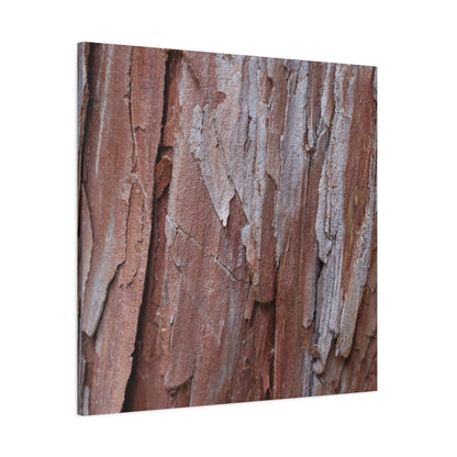 Peeling Paint - Unique Frameless Canvas Wall Art - Art By Earth