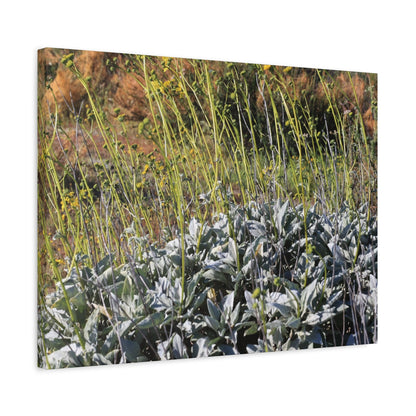 Desert Wildflowers in Bloom - Unique Frameless Canvas Wall Art - Art By Earth