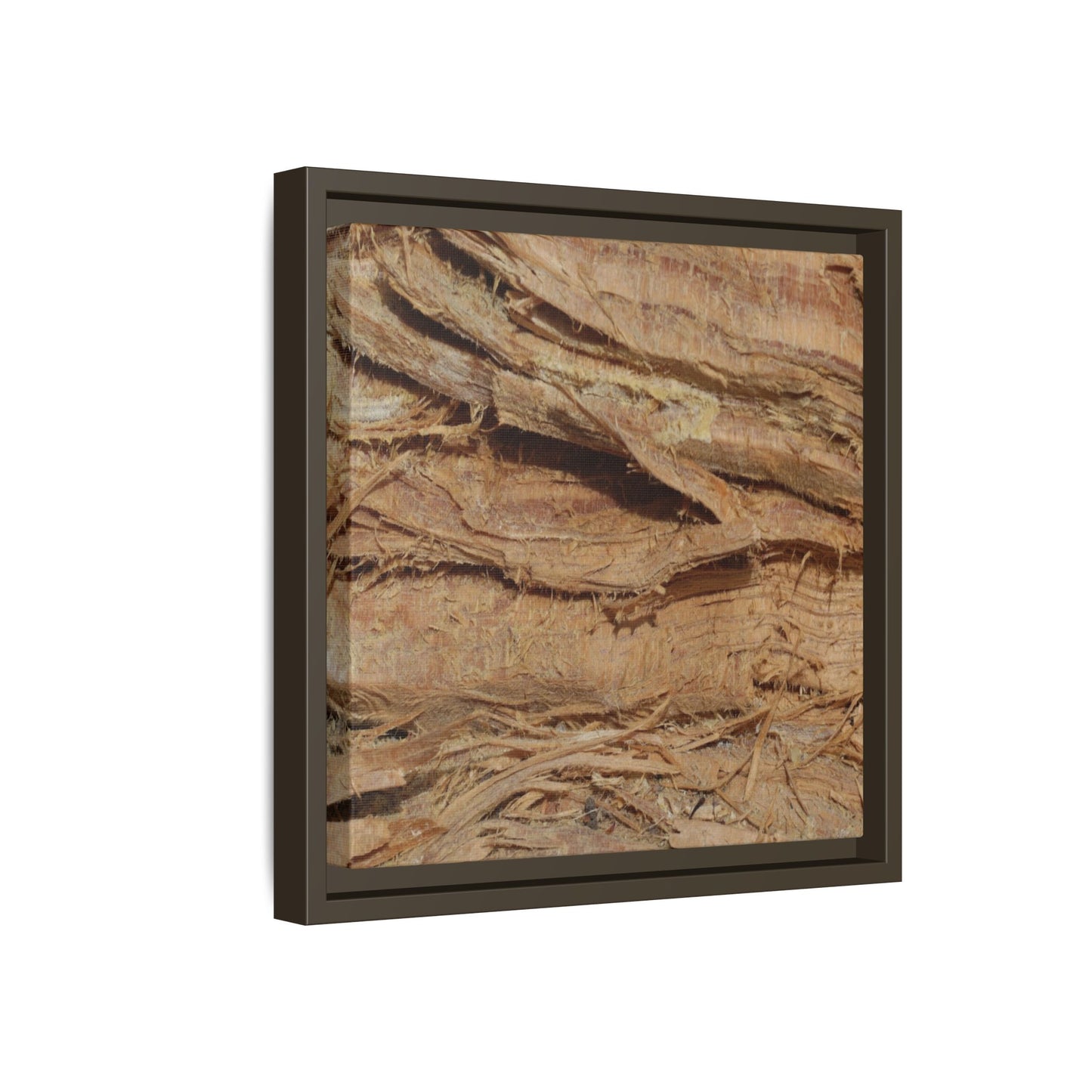 Splintered Bark - Unique Stretched Canvas Wall Art - Art By Earth