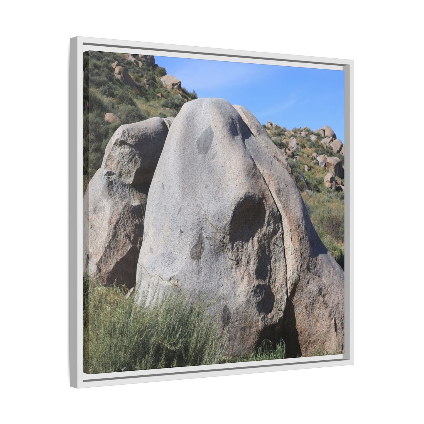 Skull Rock Desert - Unique Stretched Canvas Wall Art - Art By Earth