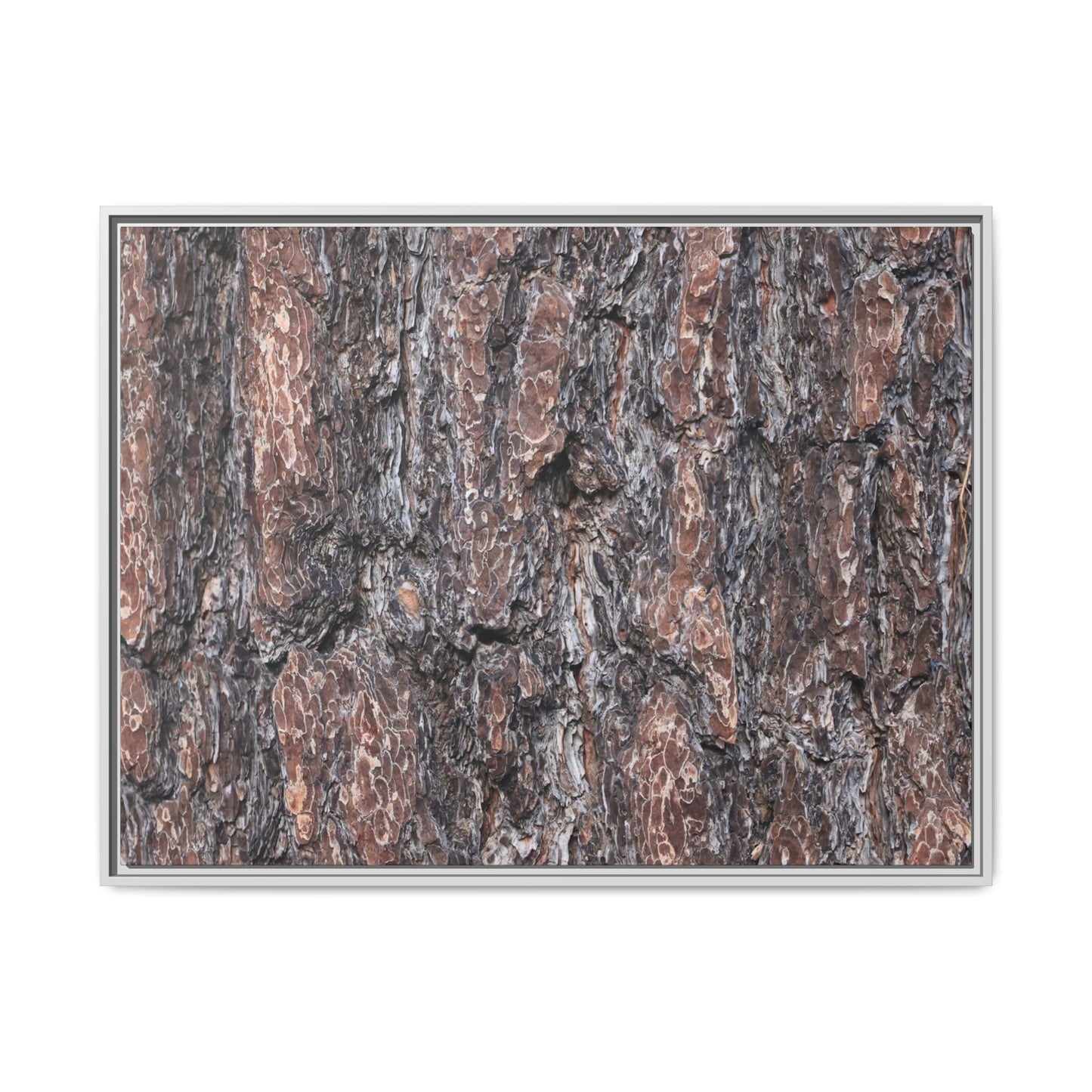 Echoes of Wood - Unique Stretched Canvas Wall Art