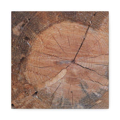Timber Tale - Unique Frameless Canvas Wall Art - Art By Earth
