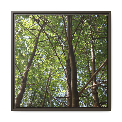 Forest Branches - Unique Stretched Canvas Wall Art
