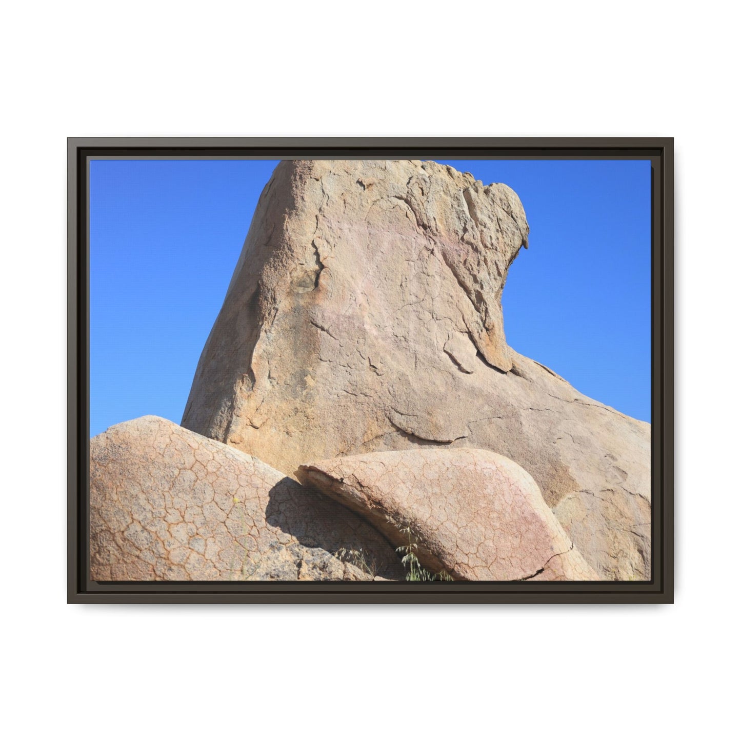 Rocky Sentinel - Unique Stretched Canvas Wall Art - Art By Earth