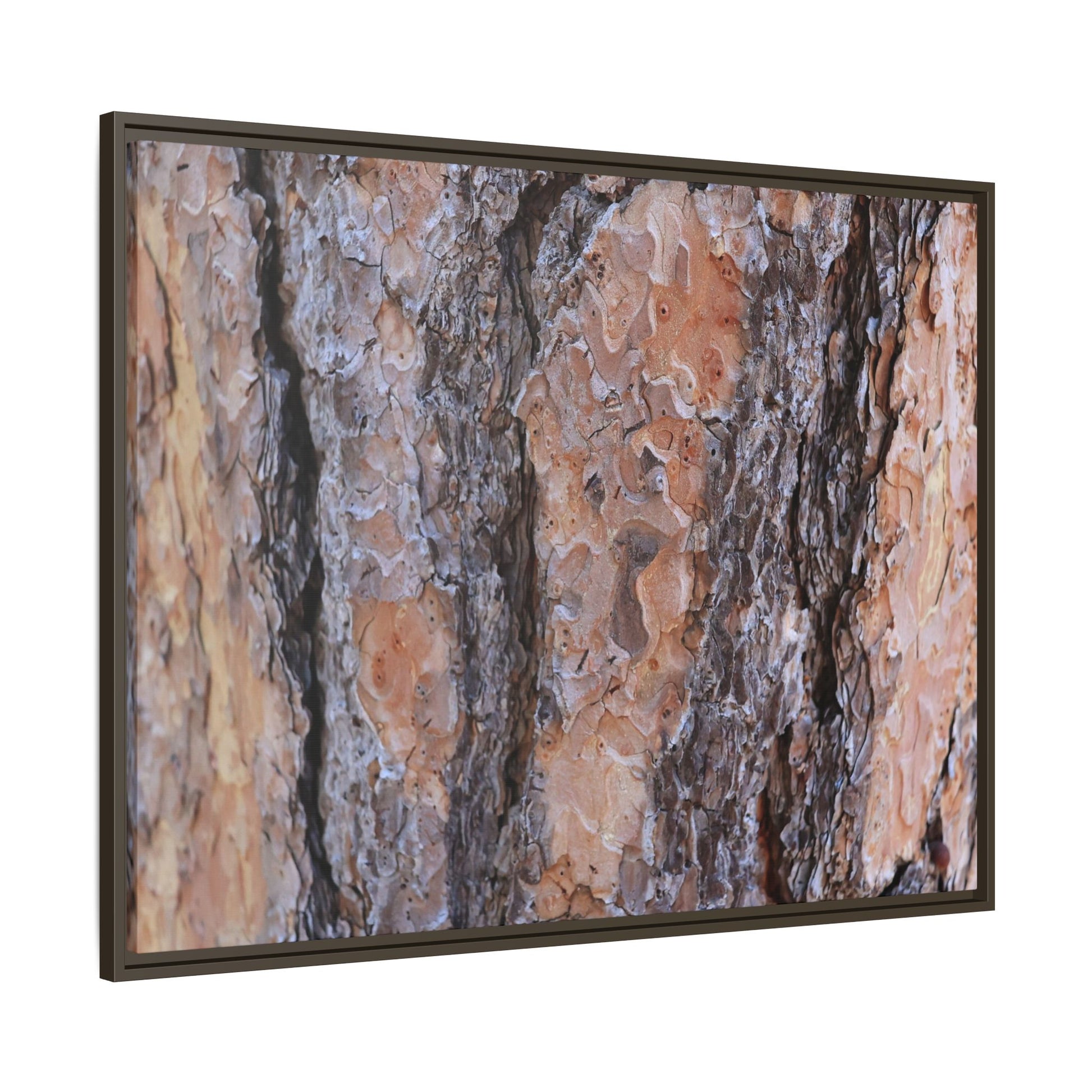 Earthy Embrace - Unique Stretched Canvas Wall Art - Art By Earth