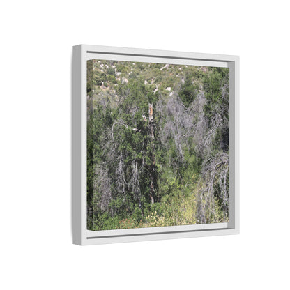 Forest Decline - Unique Stretched Canvas Wall Art