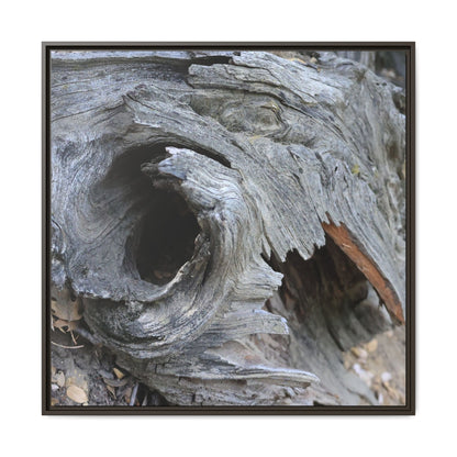 Bark's Labyrinth - Unique Stretched Canvas Wall Art - Art By Earth