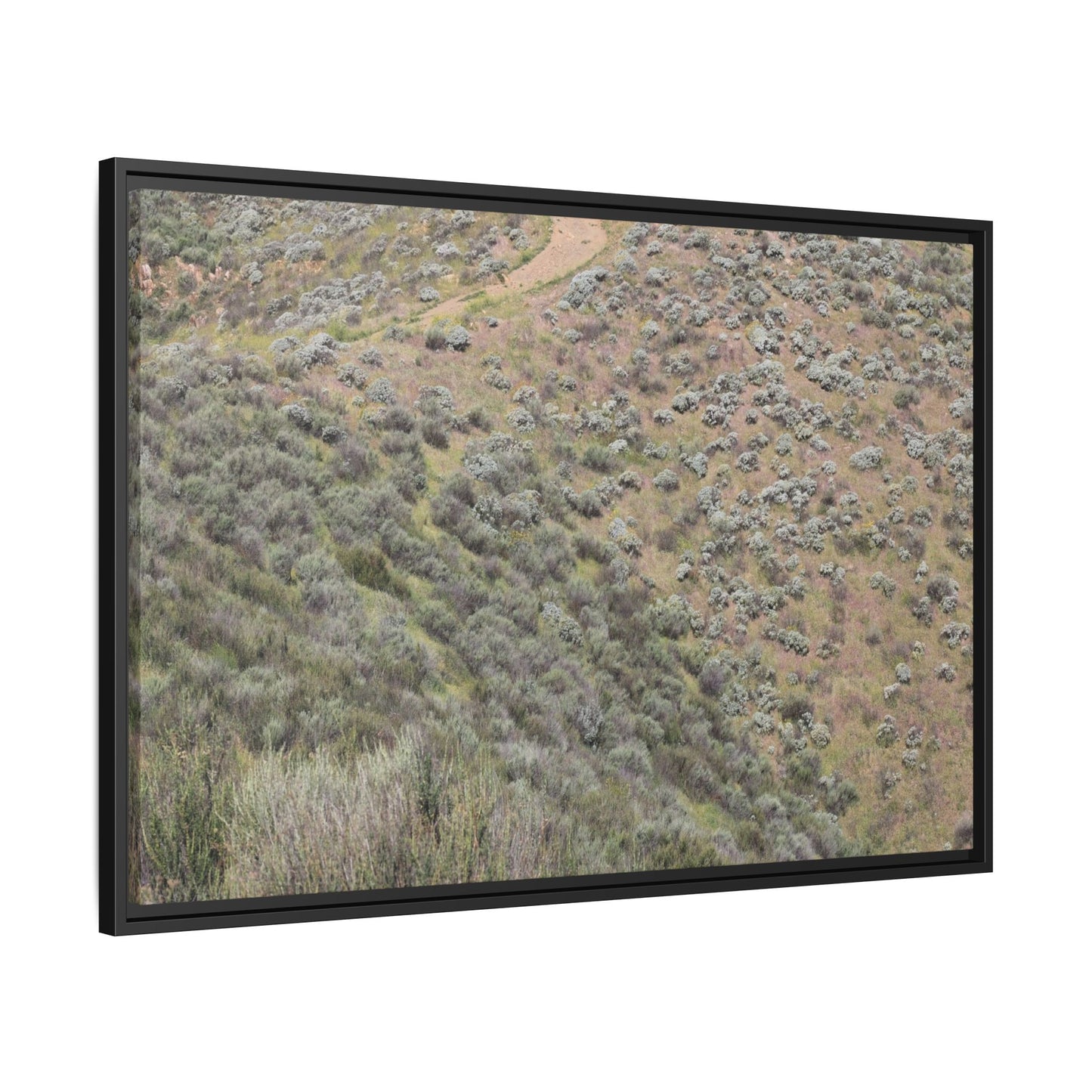 Arid Landscape with Winding Path - Unique Stretched Canvas Wall Art - Art By Earth