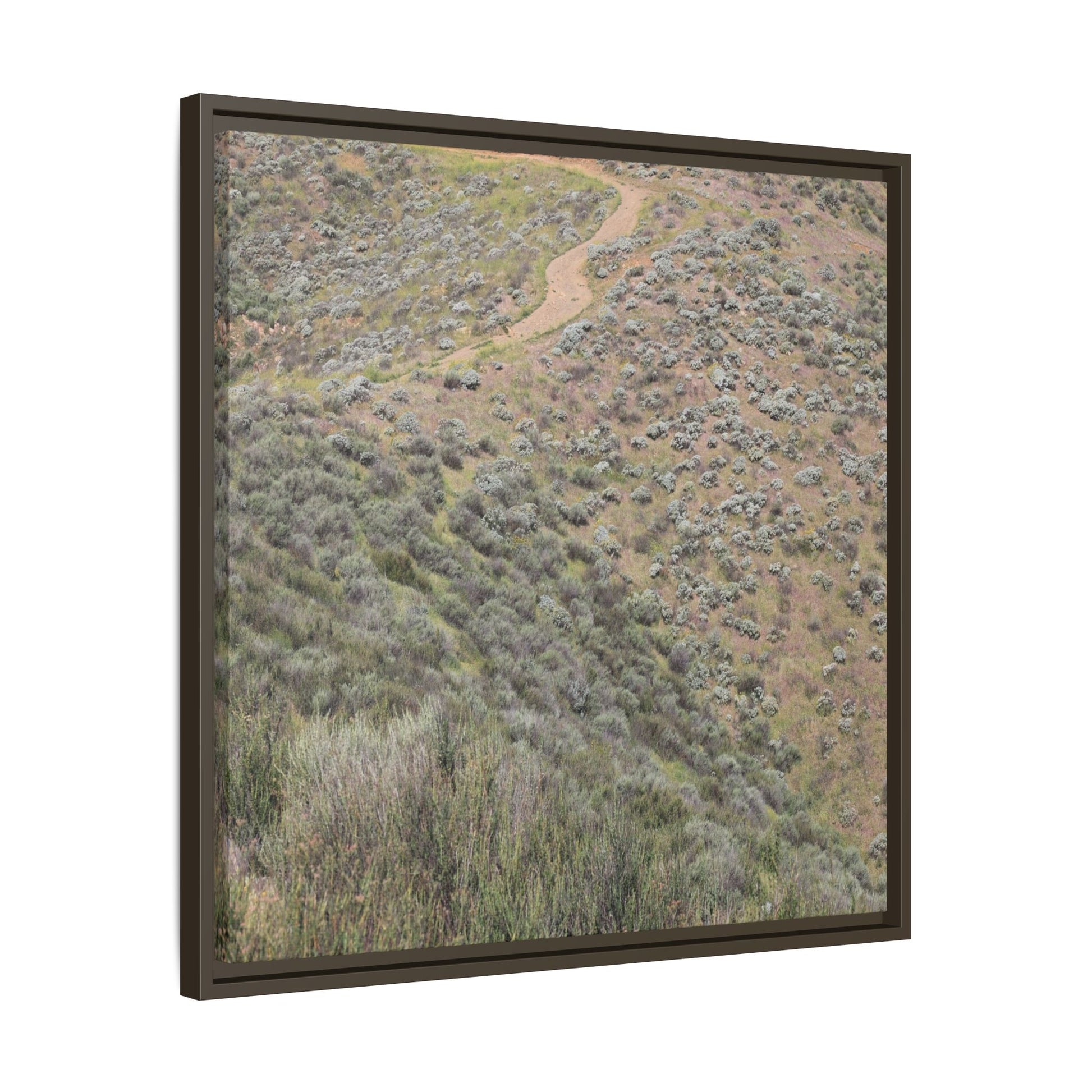 Arid Landscape with Winding Path - Unique Stretched Canvas Wall Art - Art By Earth