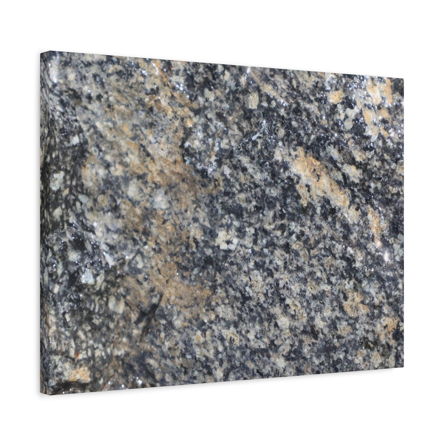 Metamorphic Memory - Unique Frameless Canvas Wall Art - Art By Earth