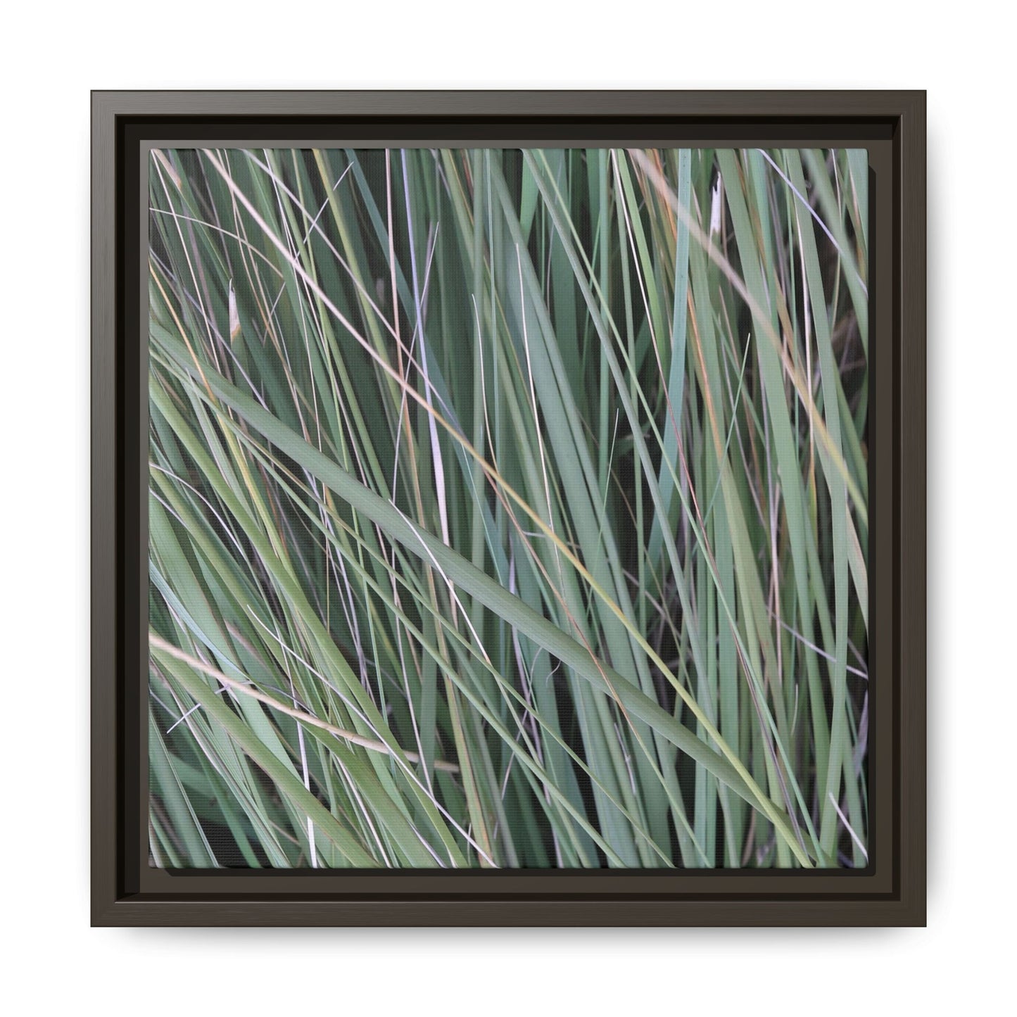 Grassland Symphony - Unique Stretched Canvas Wall Art - Art By Earth
