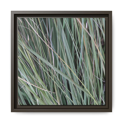 Grassland Symphony - Unique Stretched Canvas Wall Art - Art By Earth