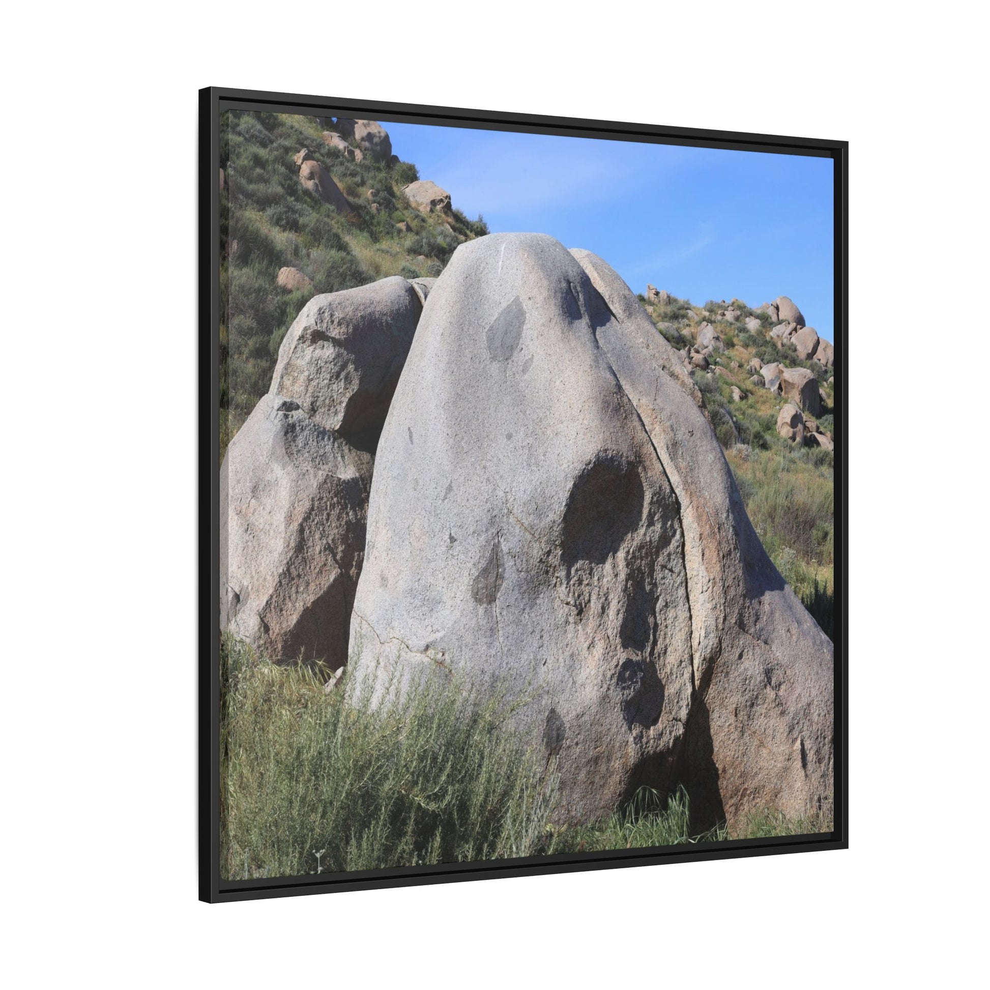 Skull Rock Desert - Unique Stretched Canvas Wall Art - Art By Earth