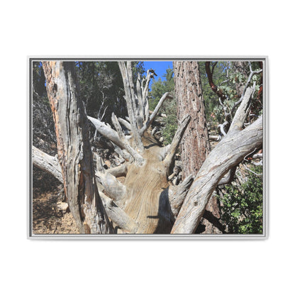 Forest Sentinels - Unique Stretched Canvas Wall Art