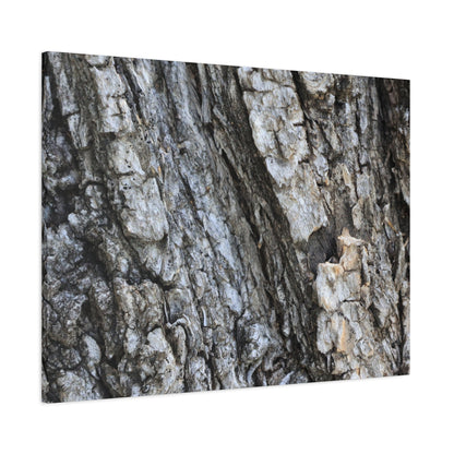 Nature's Rough Embrace - Unique Frameless Canvas Wall Art - Art By Earth