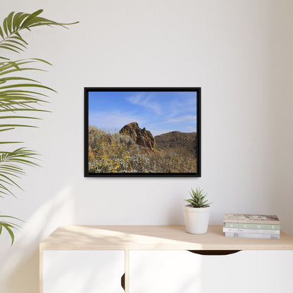 Golden Flowers in Arid Landscape - Unique Stretched Canvas Wall Art - Art By Earth