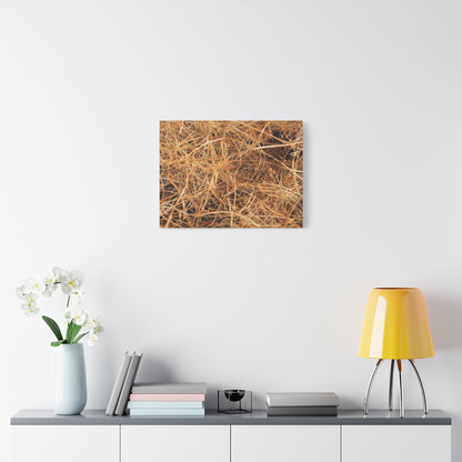 Dry Grass - Unique Frameless Canvas Wall Art - Art By Earth