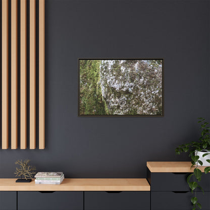 Lichen Landscape - Unique Stretched Canvas Wall Art - Art By Earth