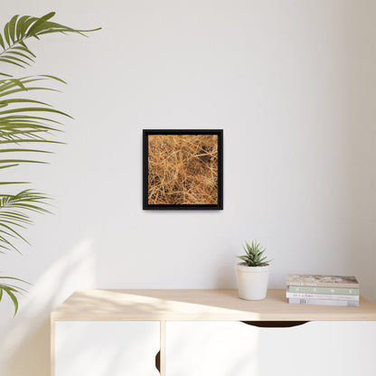 Dried Grass - Unique Stretched Canvas Wall Art - Art By Earth