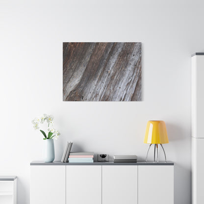 Aged Planks - Unique Frameless Canvas Wall Art - Art By Earth