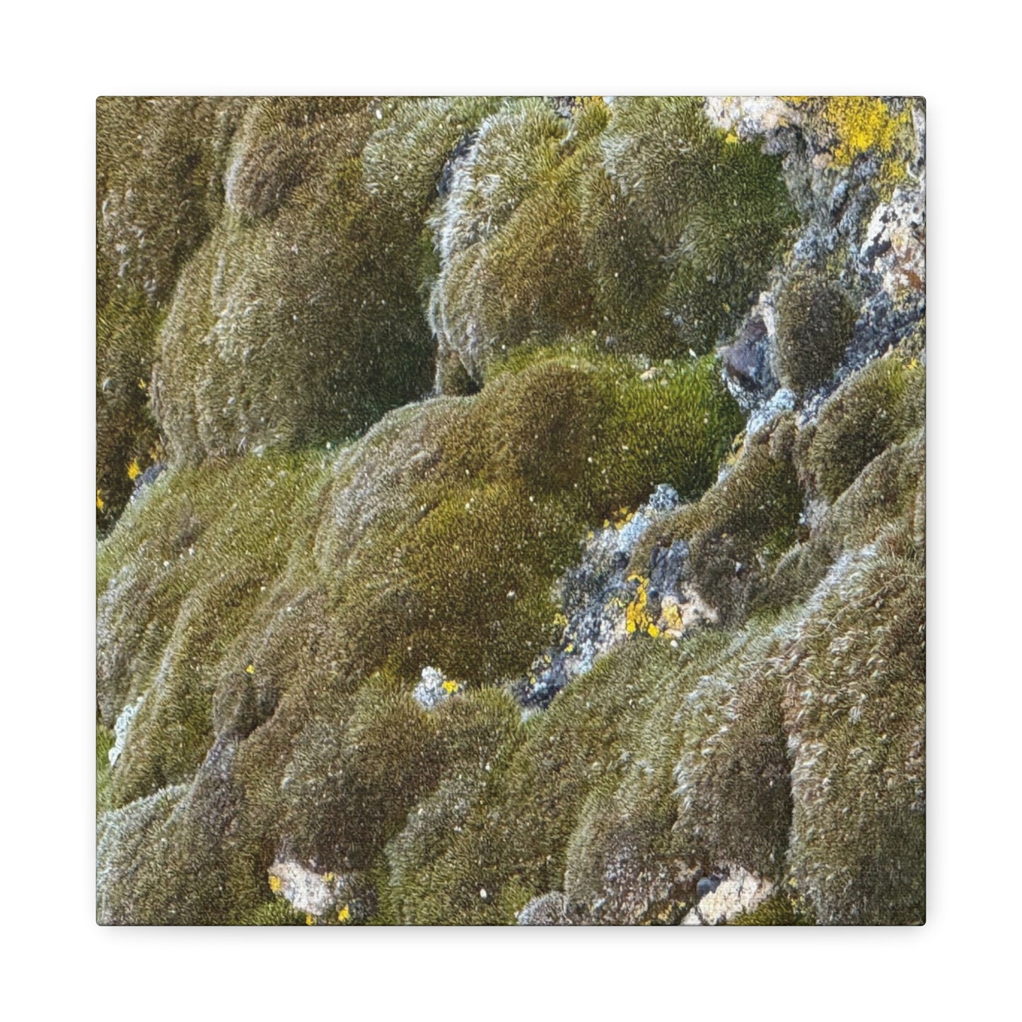 Verdant Stone Symphony - Unique Frameless Canvas Wall Art