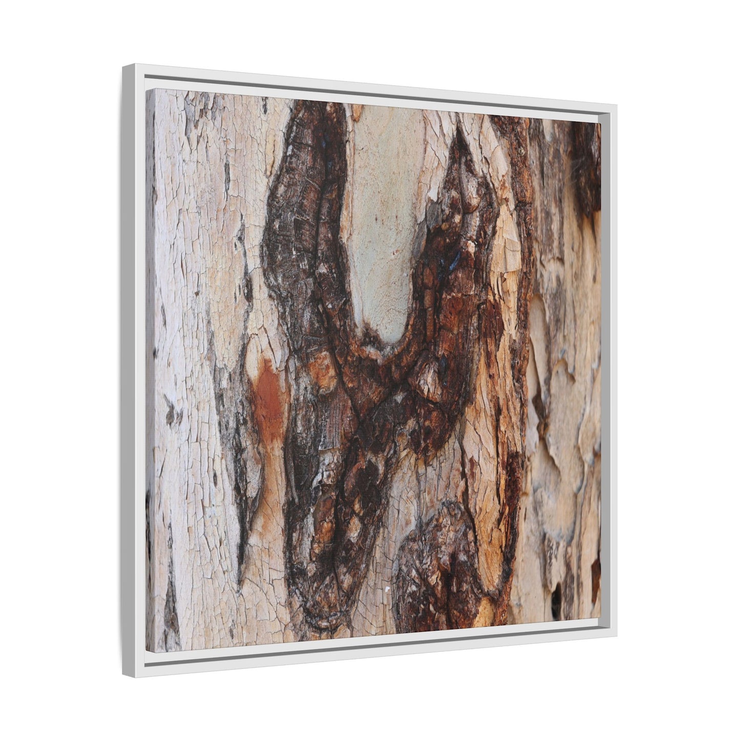 Texture of Time - Unique Stretched Canvas Wall Art - Art By Earth