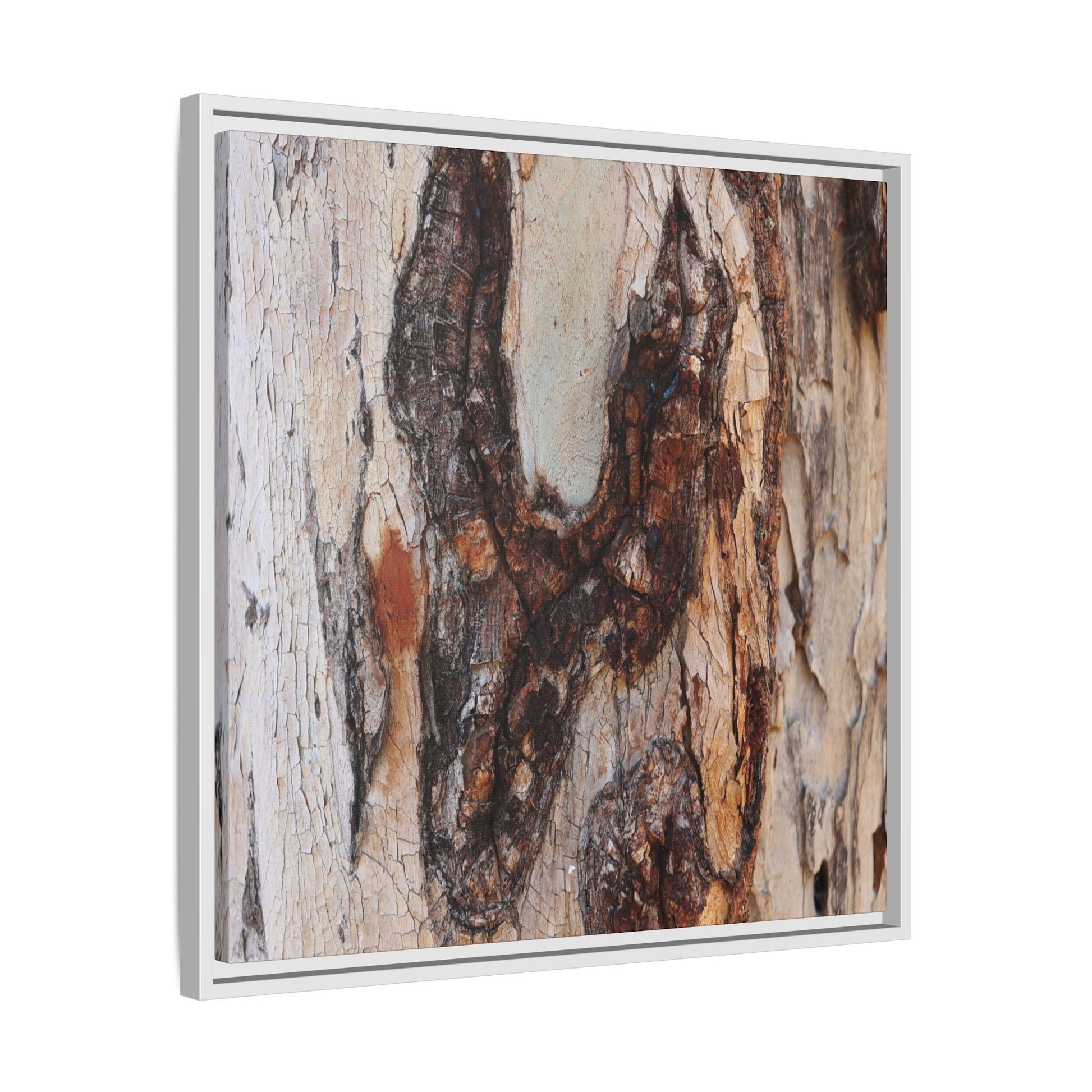 Texture of Time - Unique Stretched Canvas Wall Art - Art By Earth