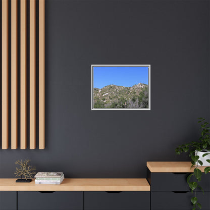 Sparse Vegetation - Unique Stretched Canvas Wall Art