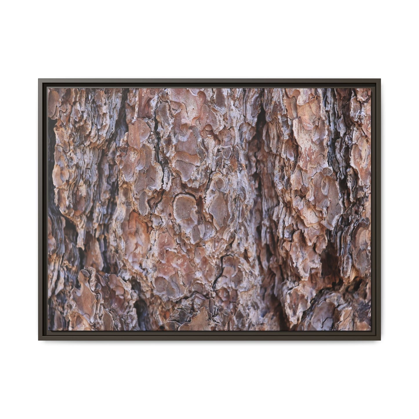 Woody Layers - Unique Stretched Canvas Wall Art - Art By Earth