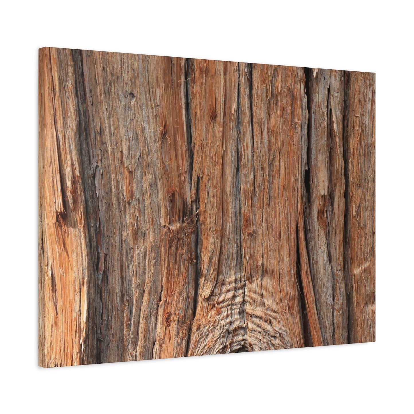 Bark's Ancient Whispers - Unique Frameless Canvas Wall Art - Art By Earth