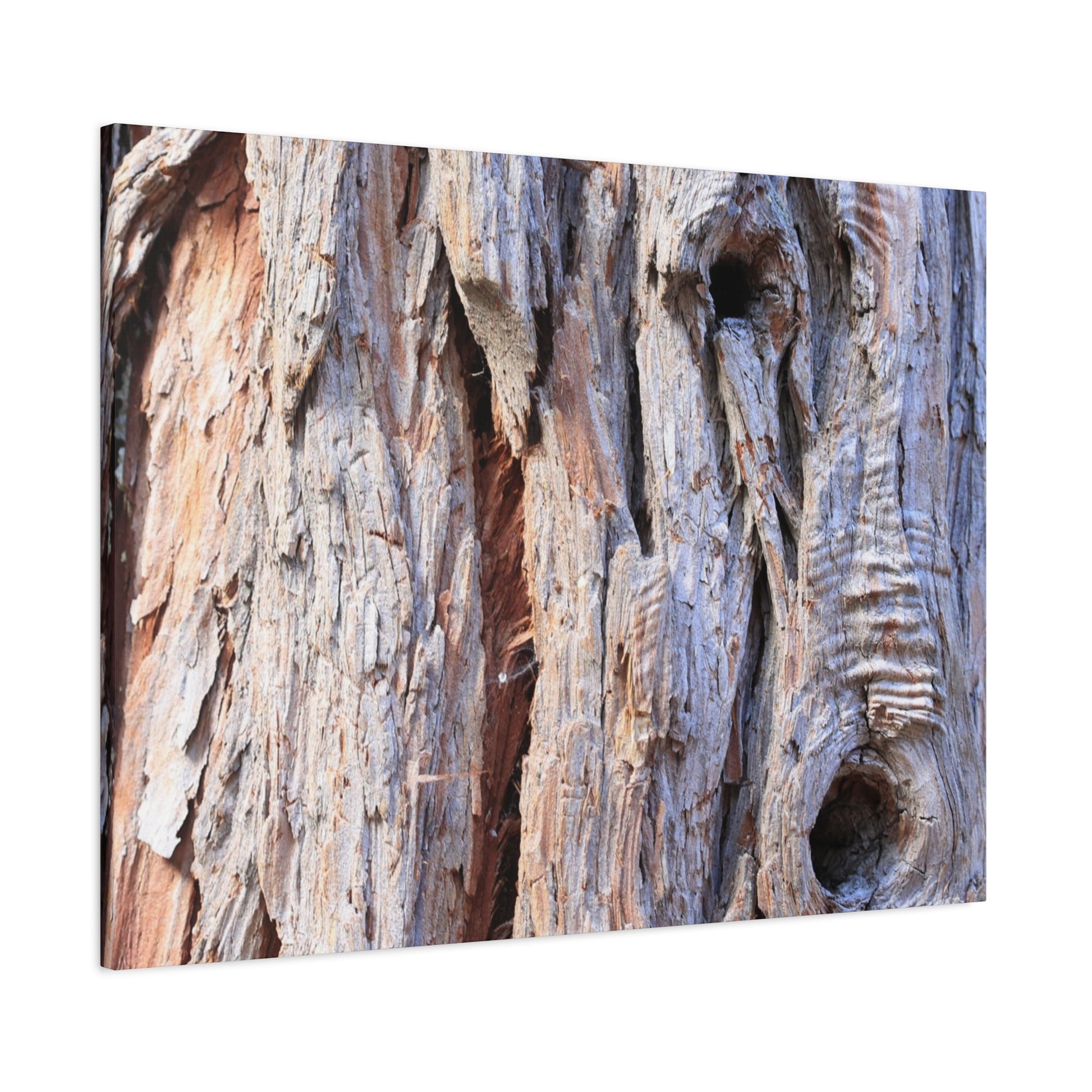 Aged Bark Surface - Unique Frameless Canvas Wall Art - Art By Earth