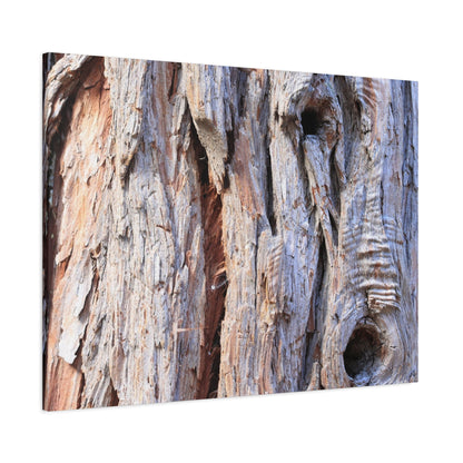 Aged Bark Surface - Unique Frameless Canvas Wall Art - Art By Earth