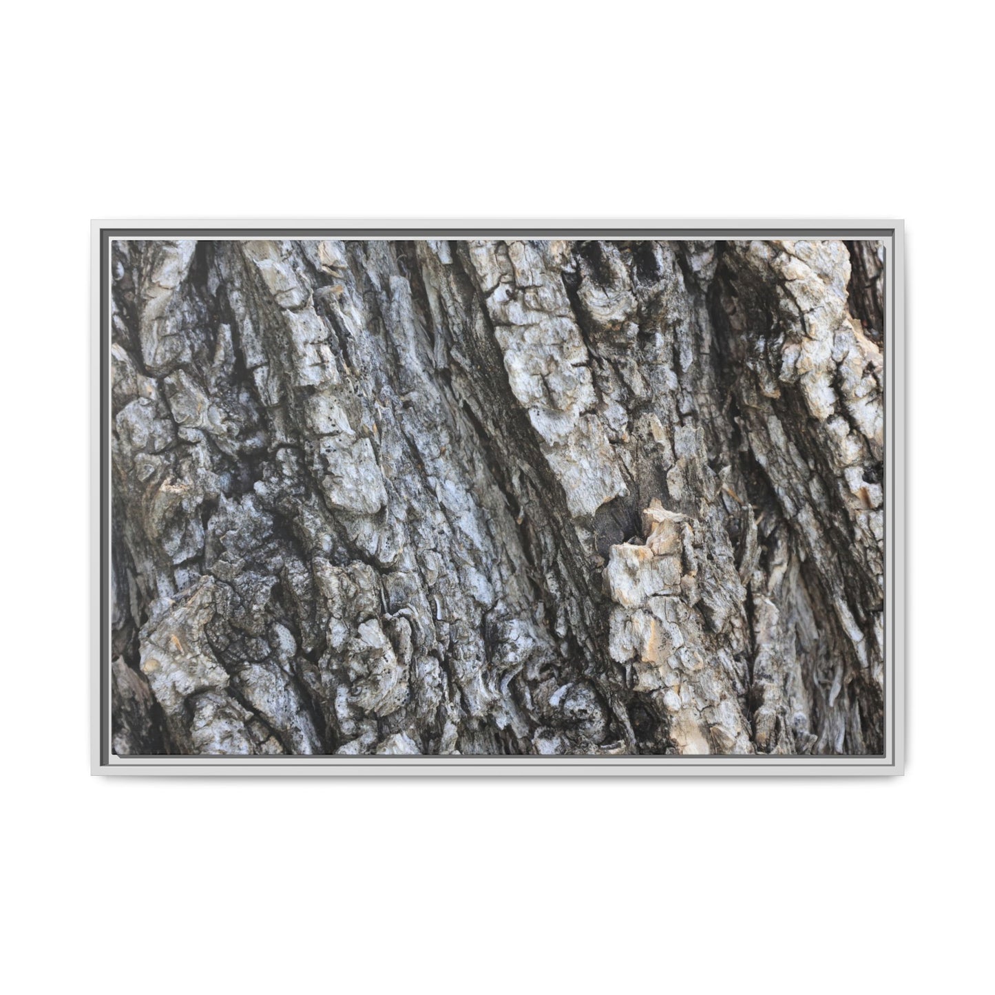 Twisted Textures - Unique Stretched Canvas Wall Art - Art By Earth